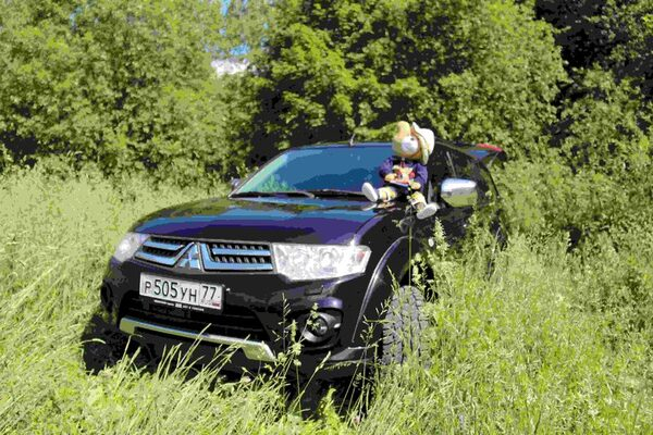 ����� ����� ������ ��� ���������� ������ �� ��������� �������� ����� ������� �������