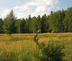 �� ���� ������� ������� ���������� ��� ������ � ���������� ��������