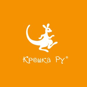 Аналитики объяснили рост интереса к франшизам детских центров