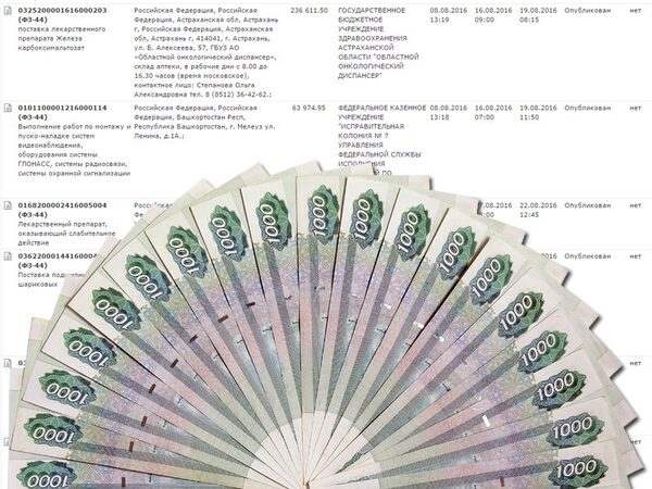 Самые денежные сферы в электронных закупках