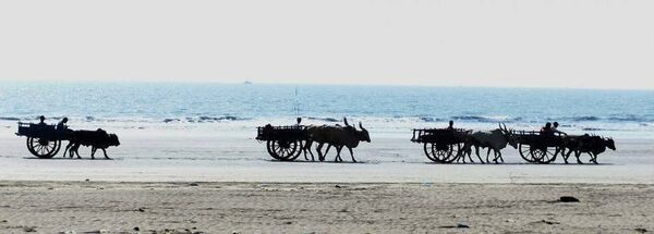 ������, ������� � ��������