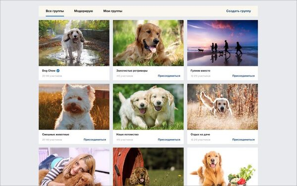 Purina� Dog Chow� � Mail ������������ ���������� ���� ��� �������� ��������