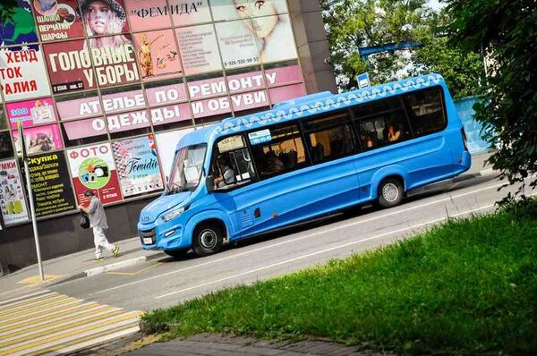      Iveco Daily  