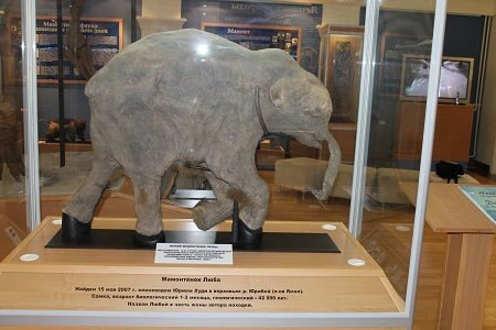 ��������� ��������� ��� ������������� � ���� ������������� ������