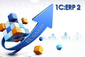  1:ERP      