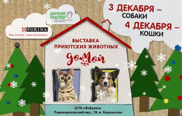 �������� ������!� � �������������� ������ ��������