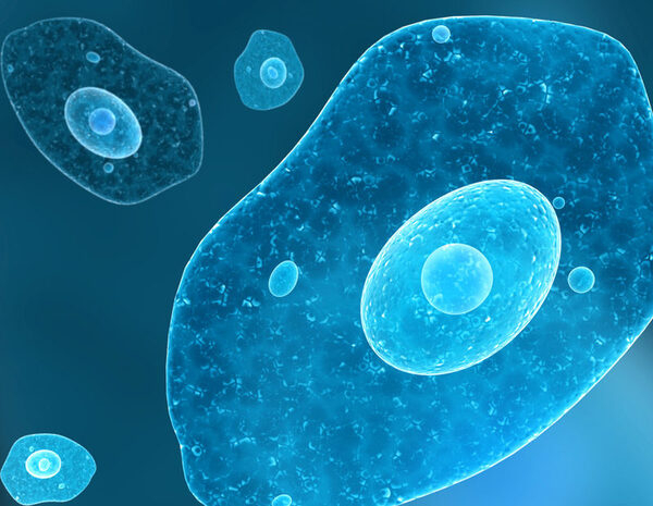 Biosimilars Create Opportunities for Sustainable Cancer Care