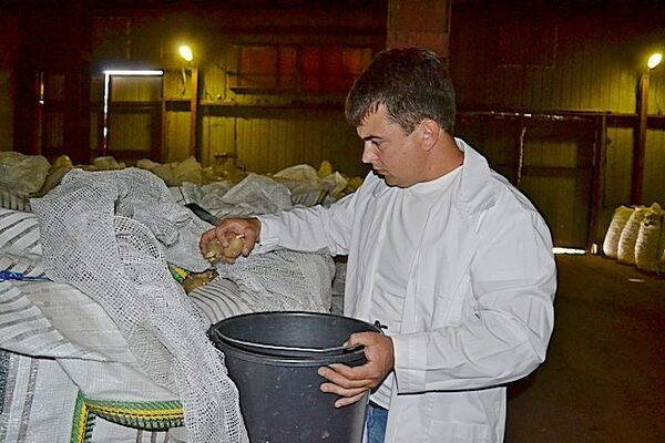 Более 11 млн. тонн сельхозпродукции исследовано на Дону за 2016 год