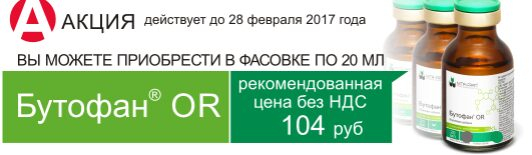    OR  -ON   