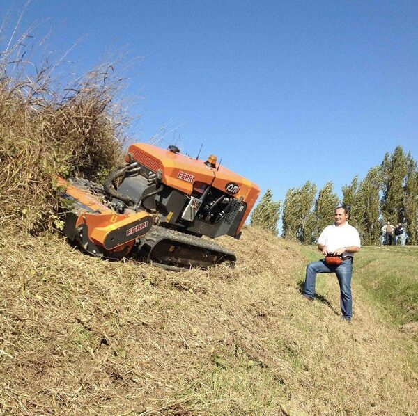 ������-������� FERRI ICUT: ��������� � ������ 2017