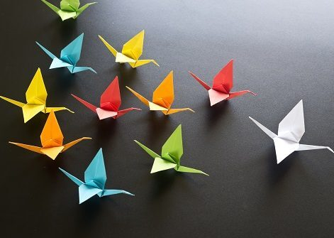 � ������� Rookee ��������� �����-������