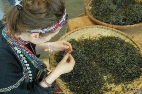 ������� ��� � ��������. ������ + ����������