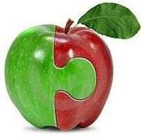   1:ERP  1: 