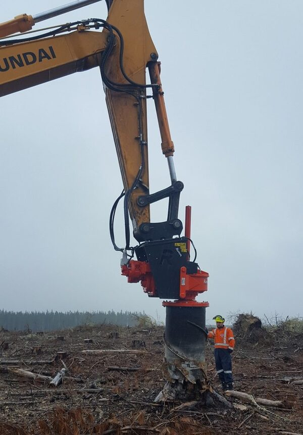 ����������� ������������ ���� ��� ���, ��� ������� ������