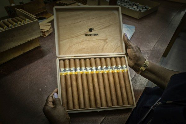 XIX  Habano   ,         Habanos    