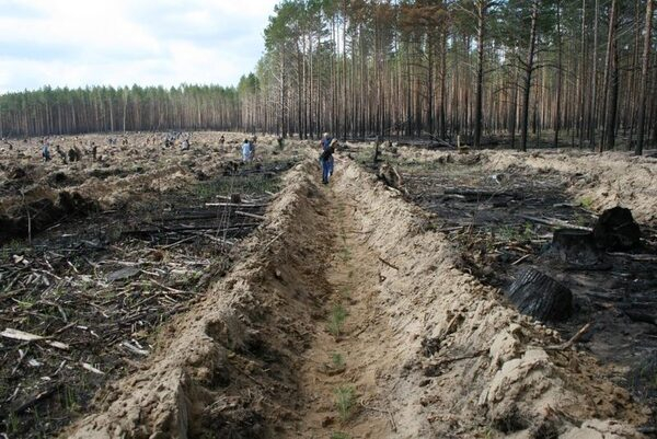 ������� ������� �� ������ ������ �������� �������