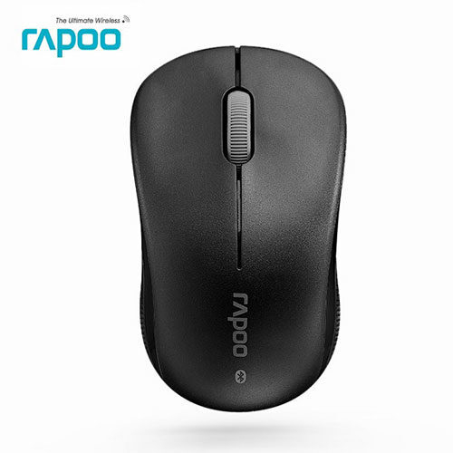   RAPOO 6010B:     