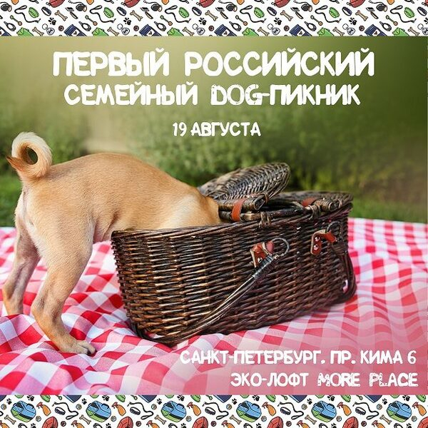  -     DOG-