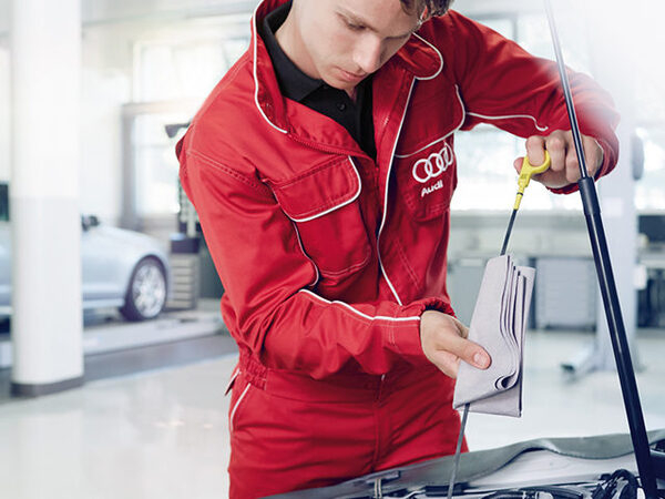 �� ��� Audi �� ������������ ��������