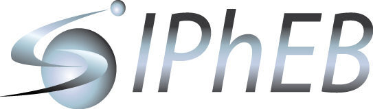 : 24   -   RAO/CIS Offshore 2017