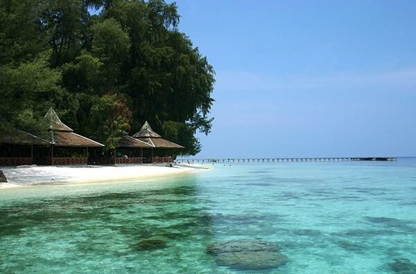          Coral travel