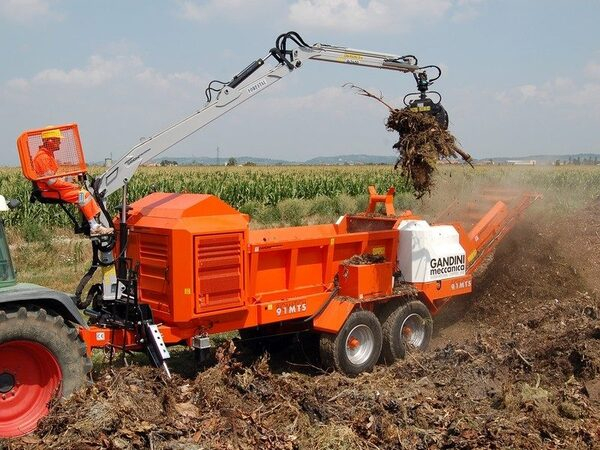 ������������ �������� Gandini