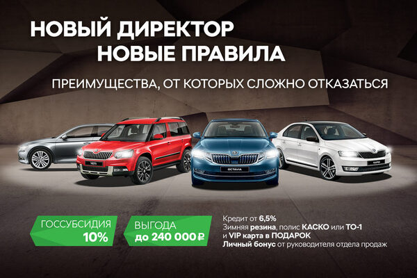 �������� ����������� �� ���������� ŠKODA � �������� ������