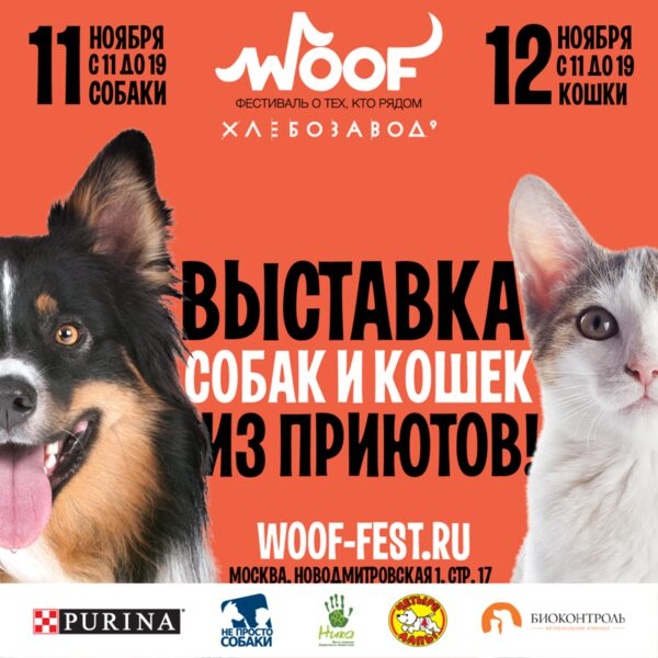  WOOF       11  12  2017 
