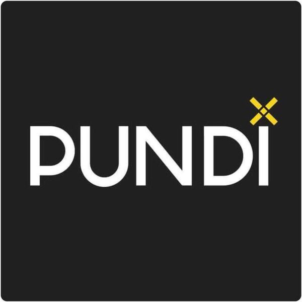   Pundi X  4      -ICO