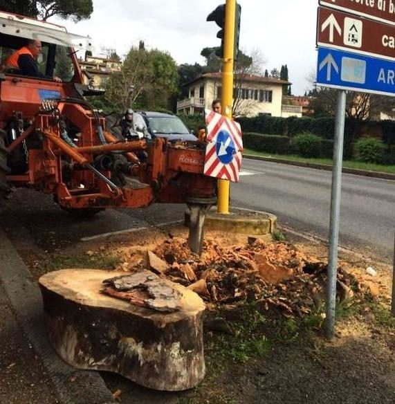 FERRI Rotor ��������� ����� ����� �������