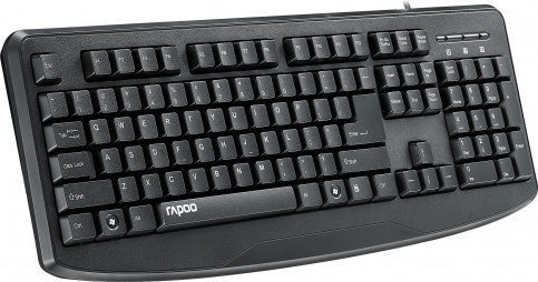   RAPOO NK2500:    