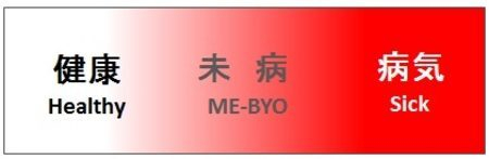    ME-BYO Summit Kanagawa        100    ME-BYO -         