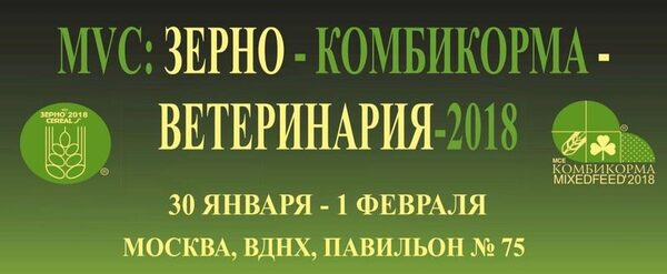    MVC: ---2018