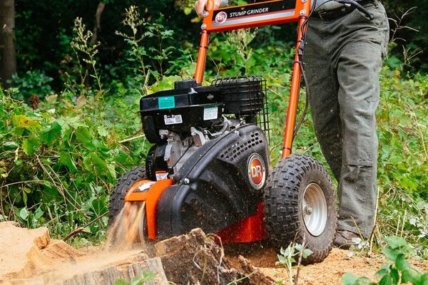 �������� ������������ ����.�������� ������������.