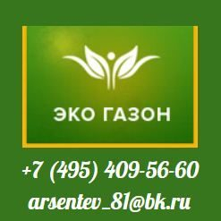 Компания “Эко Газон” предлагает качественный рулонный газон с доставкой на участок