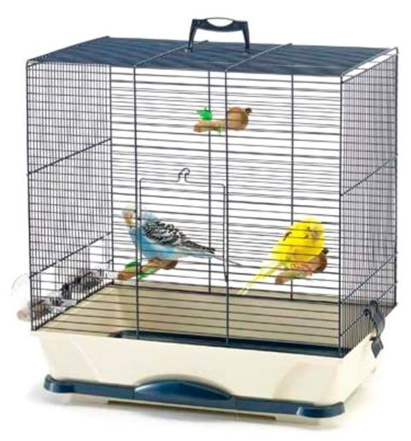 Интернет-зоомагазин PetsCage.ru раскрыл секреты разведения попугаев в домашних условиях