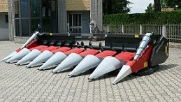 ����� Dominoni. �� ��� ����������?