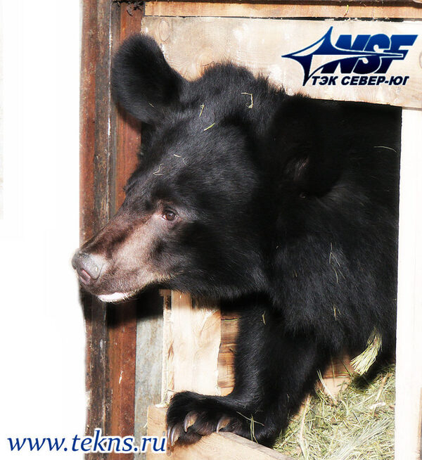 ��� ������-�� ������������ ��������� ���� ����������� �������� �� ���������� �������� � ������� ���������� �� ���������� ����� ����������