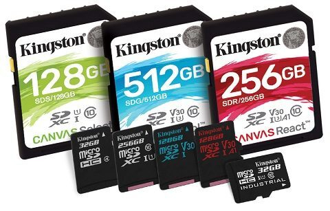 Kingston   -  Canvas