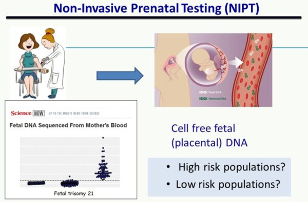 Non-Invasive Prenatal Testing Market is Driven by Increasing Healthcare Expenditure