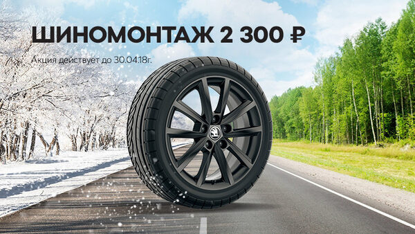 �������� ���������� ŠKODA: ������� �������, ���� ����!