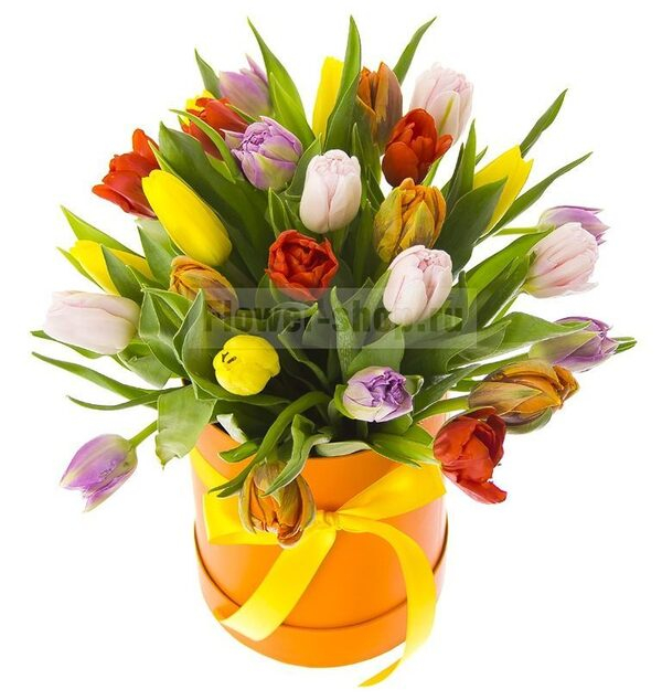    Flower-shop:   30%