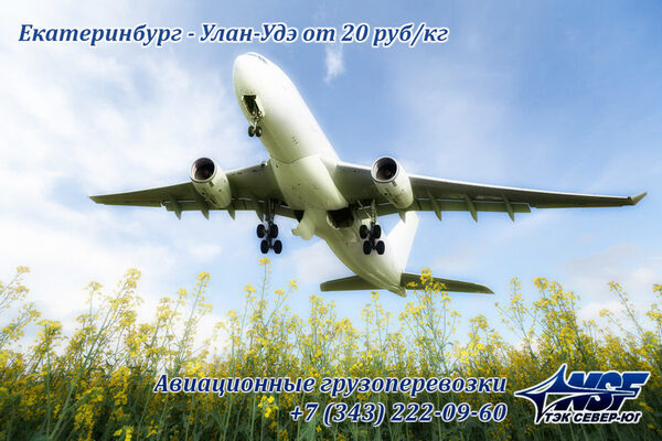 ������������ ����� � ����-���