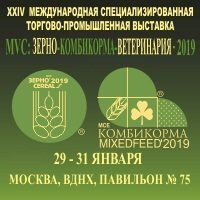 XXIV   -   MVC: ---2019   