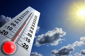 CARGO EXPRESS (ACEX Alliance member) gives advice How to handle Temperature Controlled Cargo