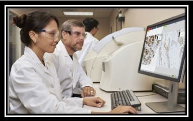 C Aperio LV1 IVD  Leica Biosystems          *