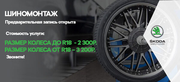 ������������ ���������� Caravelle City � Multivan Style � ����������� ����� ��������