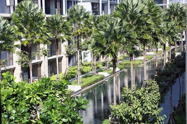 Arrow Hotels and Resorts   Baan Mai Khao
