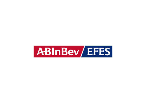 AB InBev Efes       2018