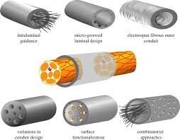 Nerve Repair and Regeneration Market Report Overview by Trend, Challenges, Drivers and Applications